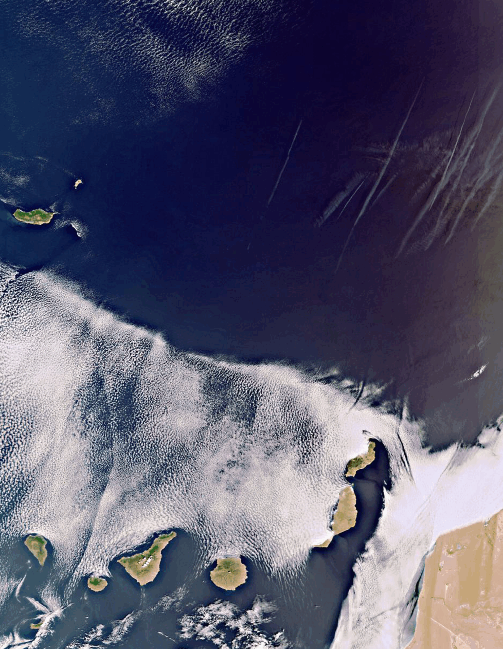 Guayota-Canarias